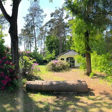 Holiday home Korhoen - 6p Heidebungalow Met Bedstee